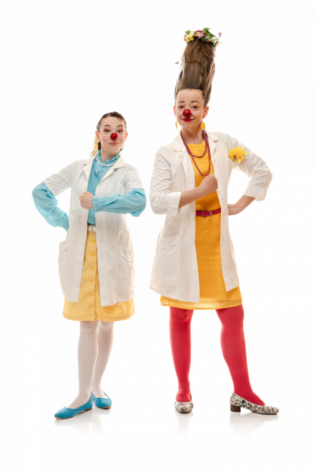 Poslání Zdravotních klaunů Poslání Zdravotních klaunů